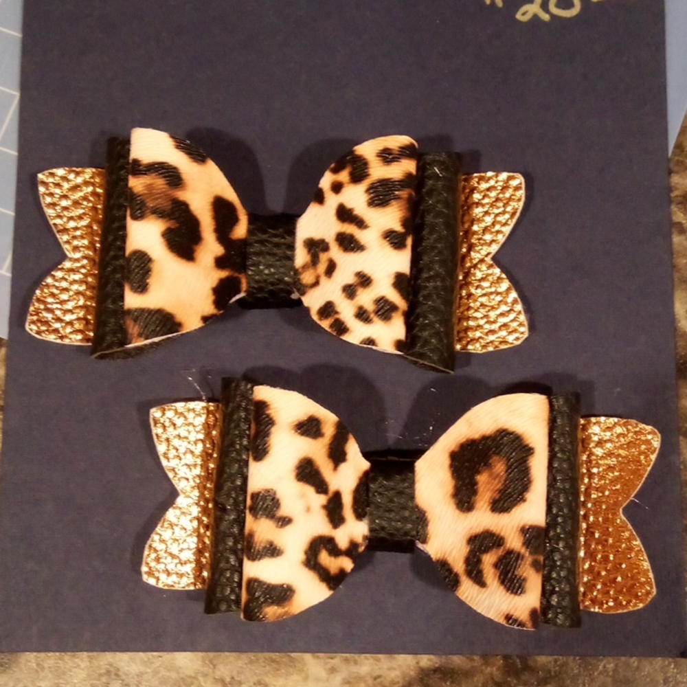Shoe clips